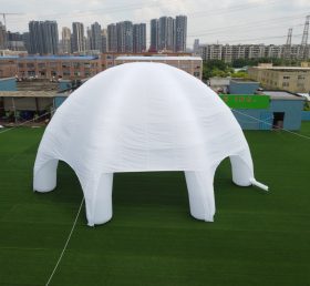 Tent1-403 Customized Commercial Lawn Mar...