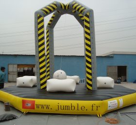 T11-681 Giant Inflatable Sports