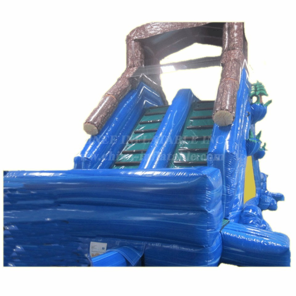 T8-4216 River Wave Slide