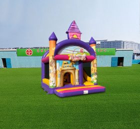 T2-4427 Princess Castle