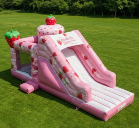 T2-8417 Strawberry Shortcake Inflatable ...