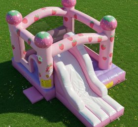 T2-8418 Strawberry Shortcake Inflatable ...