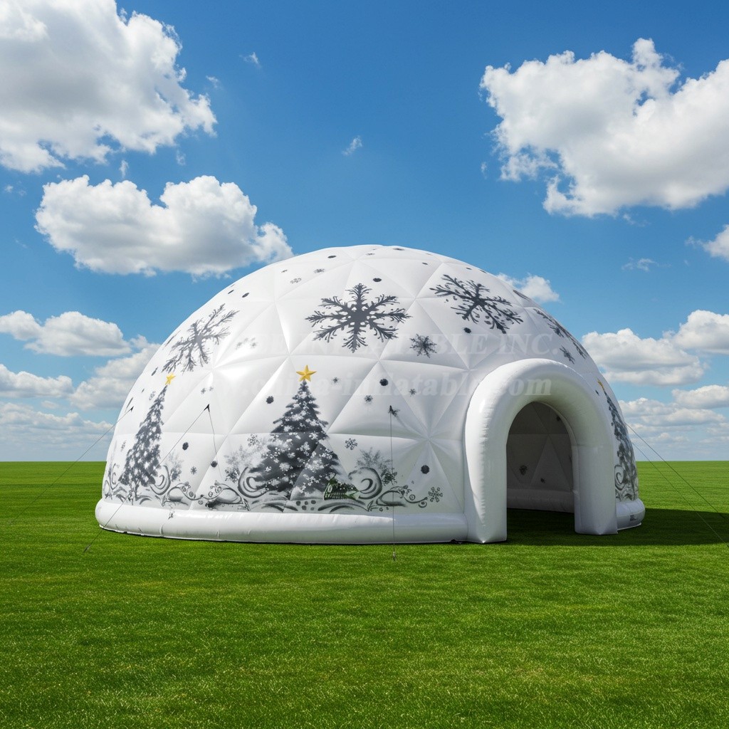 Tent1-4828 Christmas Inflatable Dome