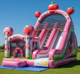 T8-8319 Strawberry Shortcake Theme Infla...