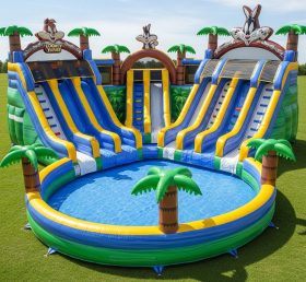 Pool3-305 Looney Tunes Theme Pool Water ...