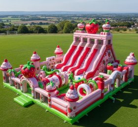 T6-6592 Strawberry Shortcake Theme Infla...