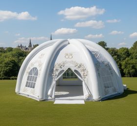Tent1-6004 Weddings Theme Inflatable Dom...