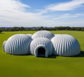 Tent1-6223 Grey Dome Cluster Inflatable ...