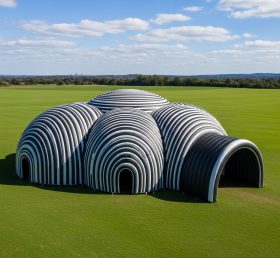 Tent1-6258 Black and White Dome Tunnel I...